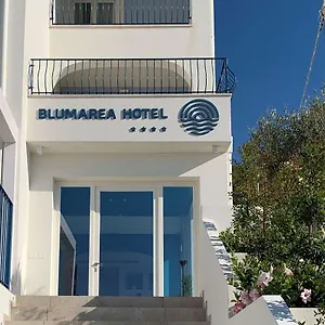 Western Blumarea Castelsardo